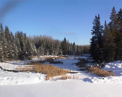 pond with trees in background and industrial hose laying in snow