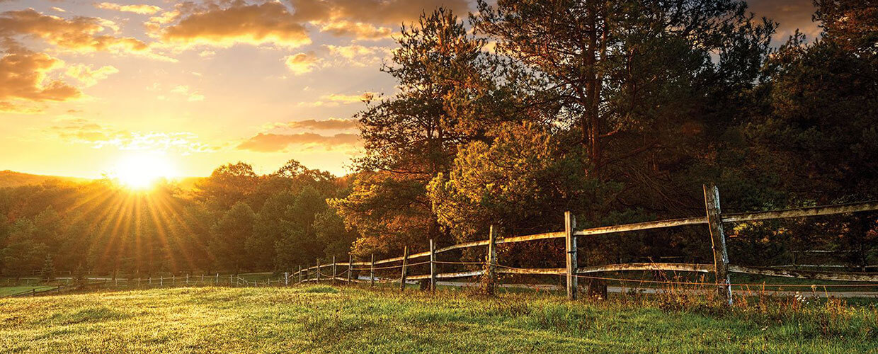 grassy field with wood fence and sunrise
