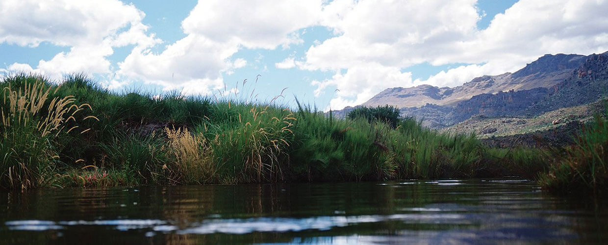 marsh wetlands with mountains in background